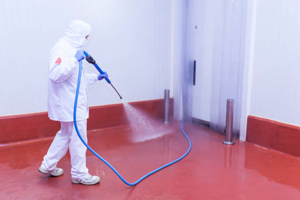 Best Commercial Pressure Washing in Gilmer, TX