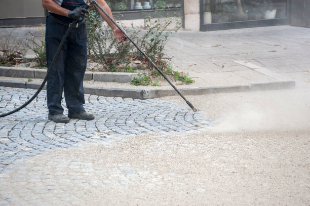 Best Roof Cleaning and Mildew Removal in Gilmer, TX
